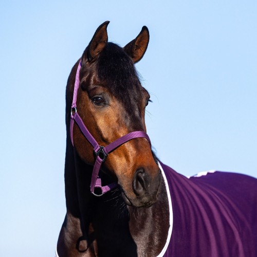 HypoStore Assorted Halter