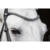 Schockemöhle X Isabell Werth Satchmo Bridle