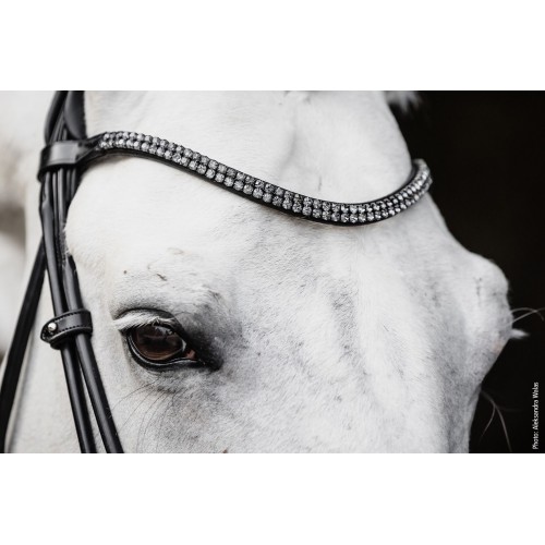 Schockemöhle X Isabell Werth Satchmo Bridle