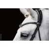 Schockemöhle X Isabell Werth Satchmo Bridle