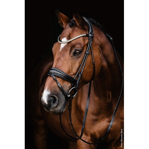 Schockemöhle X Isabell Werth Satchmo Bridle