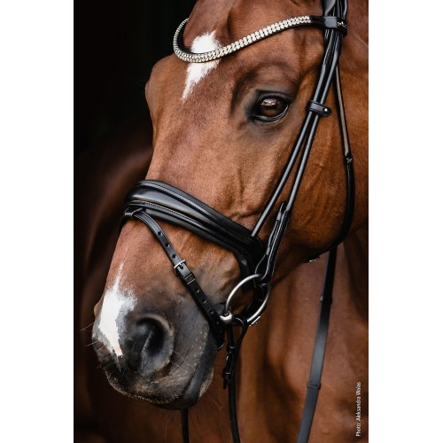 Schockemöhle X Isabell Werth Satchmo Bridle