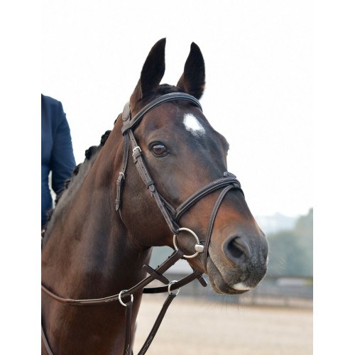 Collegiate Comfitec Opulux Fancy Stitch Padded Hanoverian Bridle