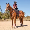 Weatherbeeta Prime Air-Tec Jumping Saddlepad