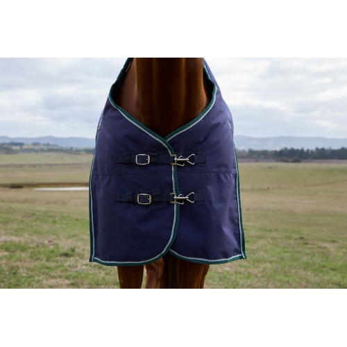 Weatherbeeta Comfitec Plus Dynamic Turnout 100G