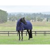 Weatherbeeta Comfitec Essential Turnout Detach-A-Neck 220G