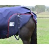 Weatherbeeta Comfitec Essential Turnout Detach-A-Neck 220G