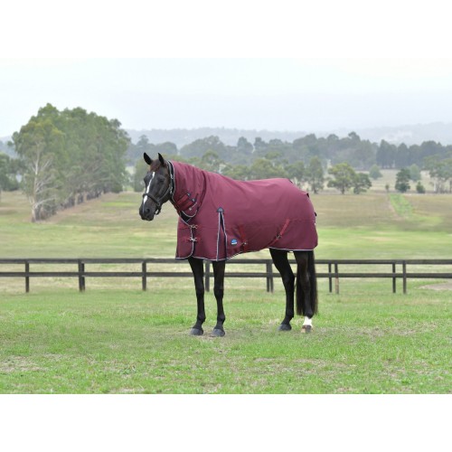 Weatherbeeta Comfitec Essential Turnout Combo 360G