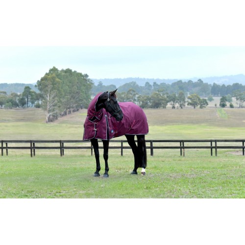 Weatherbeeta Comfitec Essential Turnout Combo 360G