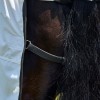 Weatherbeeta Comfitec Sweet Itch Shield Fly Sheet Combo