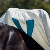 Weatherbeeta Comfitec Sweet Itch Shield Fly Sheet Combo