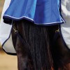 Weatherbeeta Comfitec Duo Shield Detach-A-Neck
