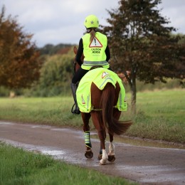 Shires Equi-Flector Veiligheidsvestje
