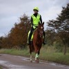 Shires Equi-Flector Veiligheidsvestje