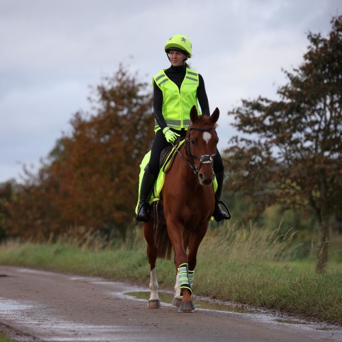 Shires Equi-Flector Veiligheidsvestje