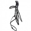 Schockemöhle Bridle Rio Select