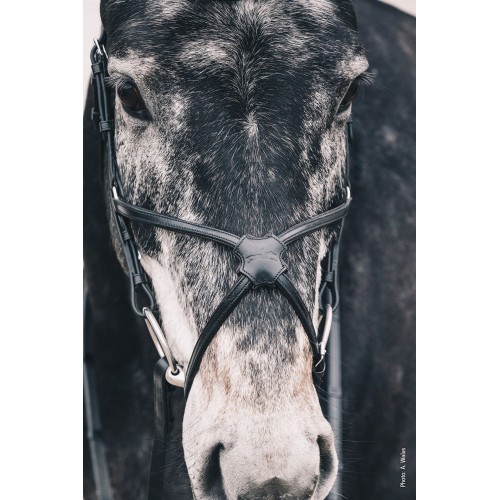 Schockemöhle Bridle Rio Select