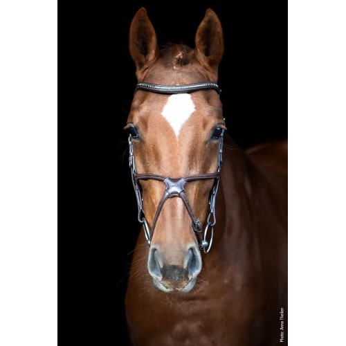 Schockemöhle Bridle Rio Select