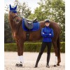 Waldhausen SS26 Felix Glam Saddle Pad
