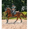 Waldhausen Saddlepad Trinidad