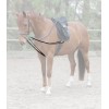Waldhausen Y-shaped lungeing aid X-Line Leather