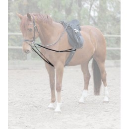 Waldhausen Y-shaped lungeing aid X-Line кожаный