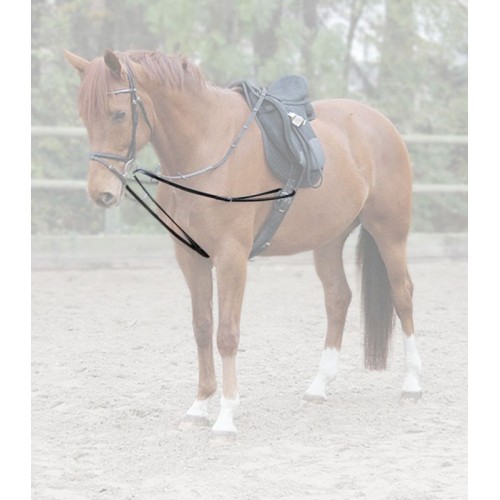 Waldhausen Y-shaped lungeing aid X-Line Leather
