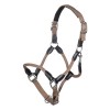 HKM Carlotta Halter