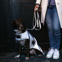 Kentucky пальто для собак Reflective