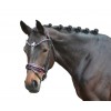HKM Manchester Bridle
