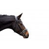 HKM Manchester Bridle