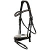 BR Hailsham Bridle