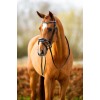BR Hailsham Bridle