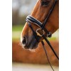 BR Hailsham Bridle