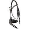 BR Hailsham Bridle