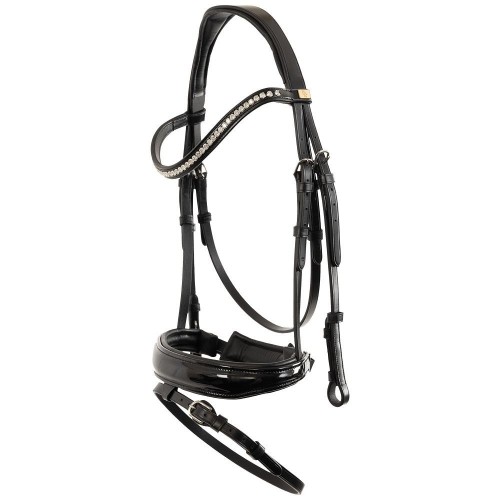 BR Hailsham Bridle