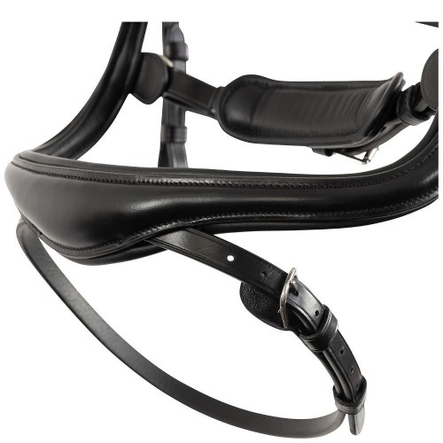 BR Bridle Horley