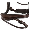 BR Bridle Horley