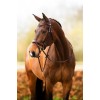 BR Bridle Horley