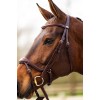 BR Bridle Horley
