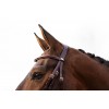 BR Bridle Horley