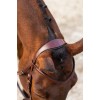 BR Bridle Horley