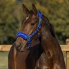 Horka Plush Halter