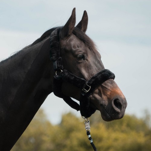 Horka Halter with Fleece Padding