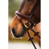 BR Bridle Shepshed