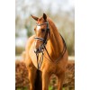 BR Double Bridle Heywood