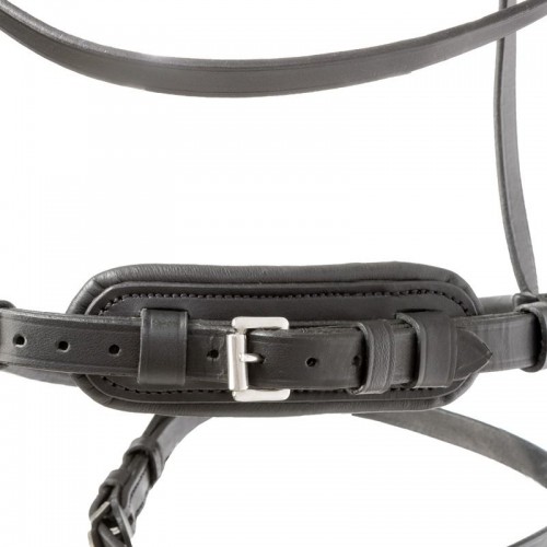 Kavalkade Ravenna Bridle