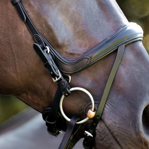 Kavalkade Bridle Cajus