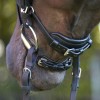 Kavalkade Bridle Cajus