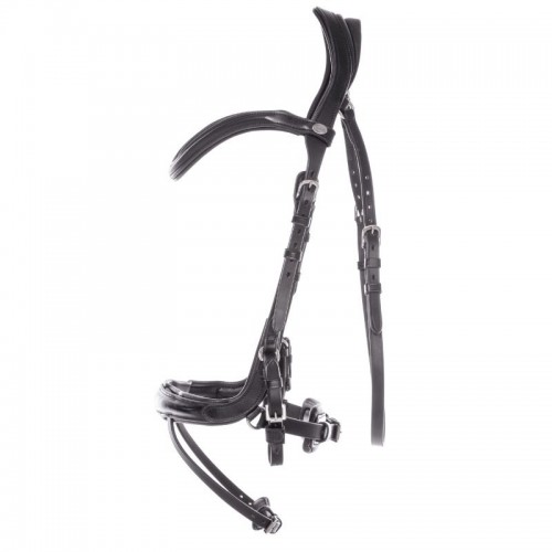 Kavalkade Bridle Cajus